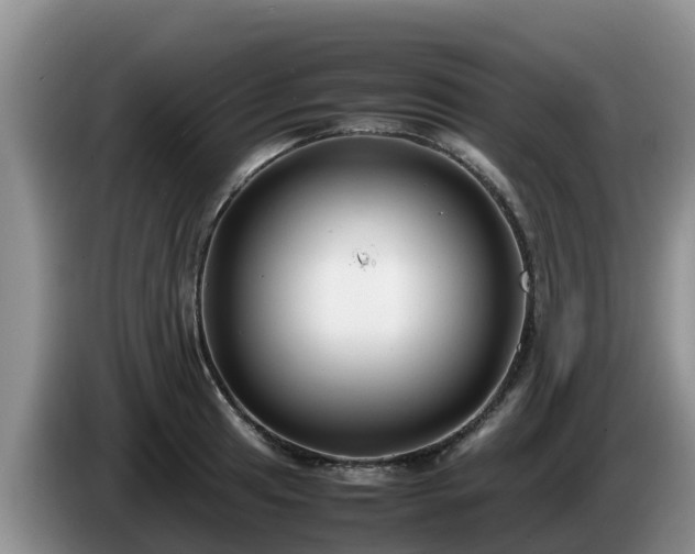 X0000086241041200704051214
