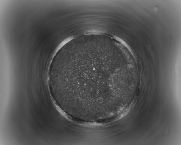 X0000086241042200704051214