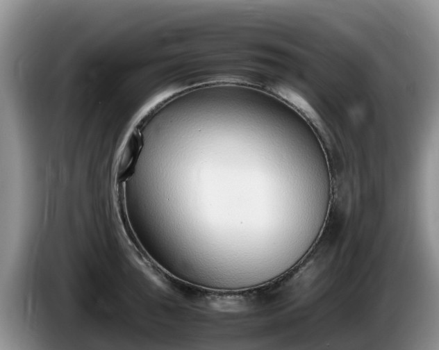 X0000086241043200704051214