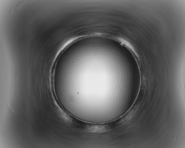 X0000086241047200704051214