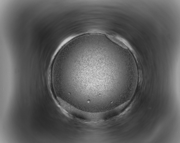 X0000086241048200704051214