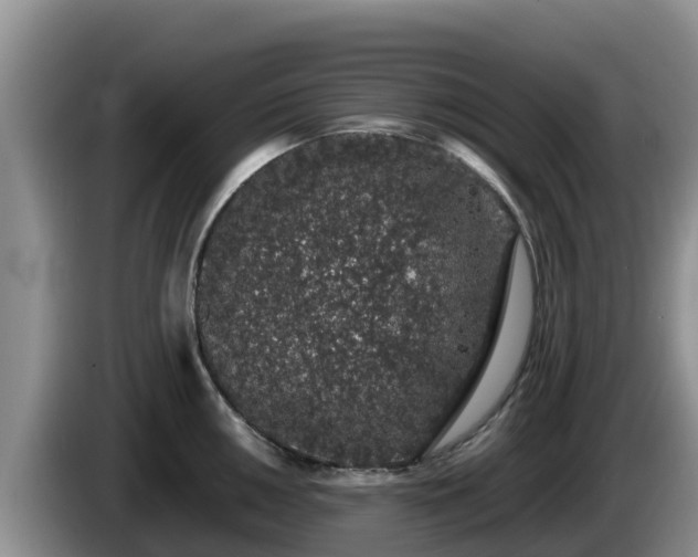 X0000086241050200704051214