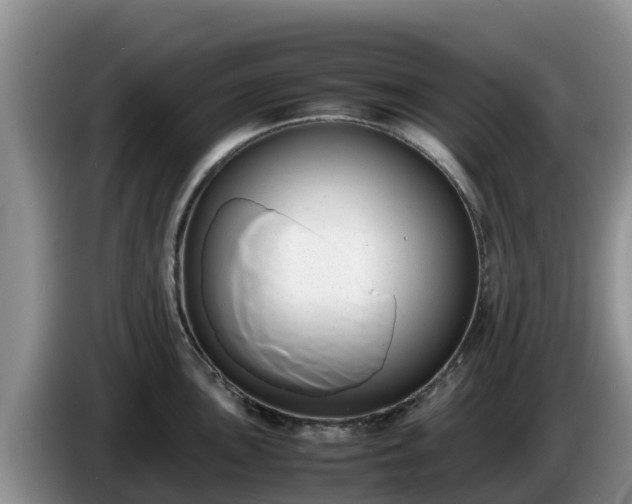 X0000086241051200704051214
