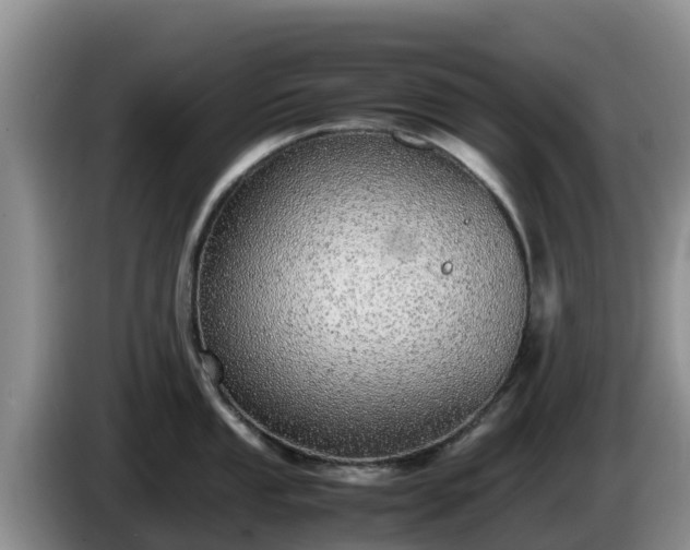 X0000086241053200704051214
