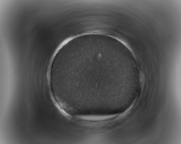 X0000086241054200704051214