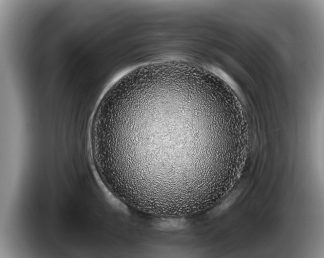 X0000086241055200704051214