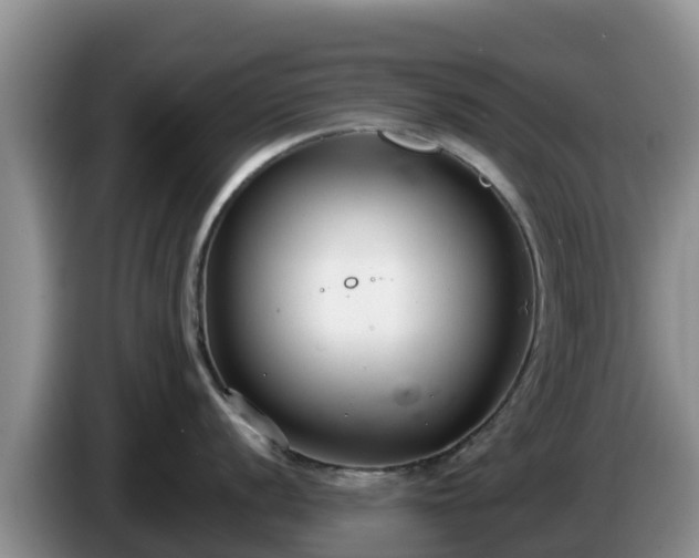 X0000086241056200704051214