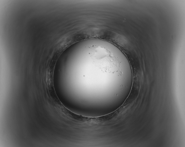 X0000086241058200704051214