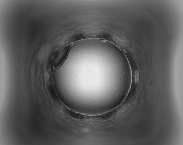 X0000086241059200704051214