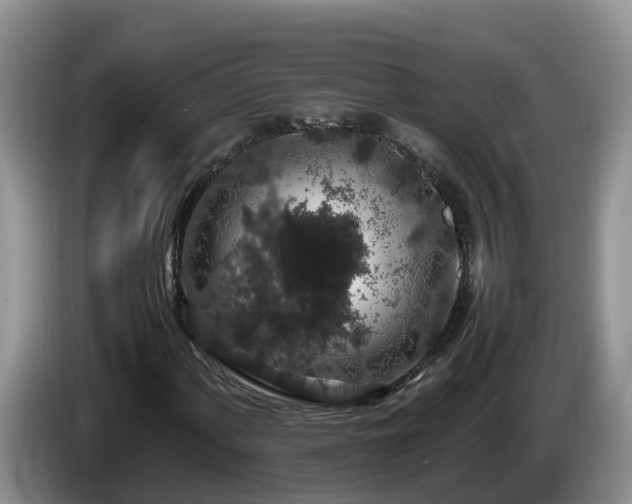 X0000086241060200704051214