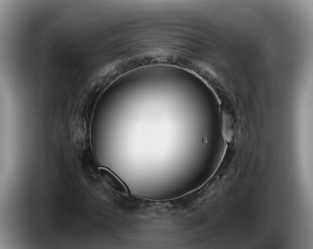X0000086241062200704051214