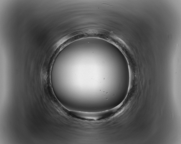 X0000086241065200704051214