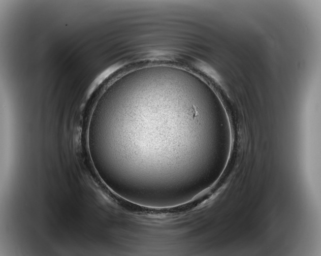X0000086241066200704051214