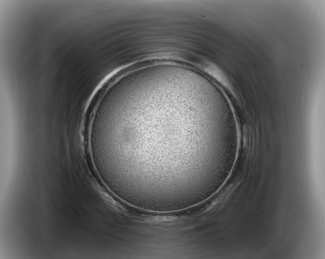 X0000086241068200704051214