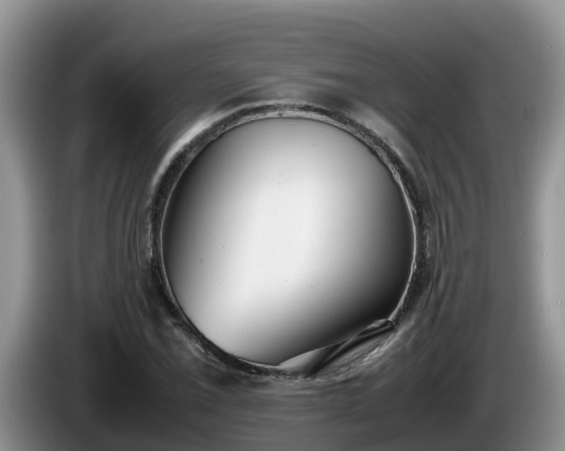 X0000086241069200704051214