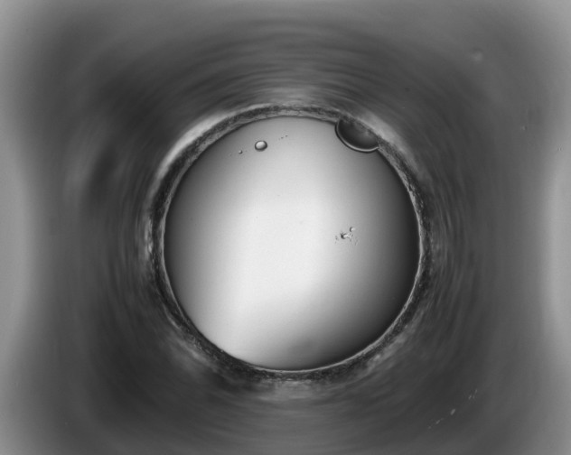 X0000086241070200704051214