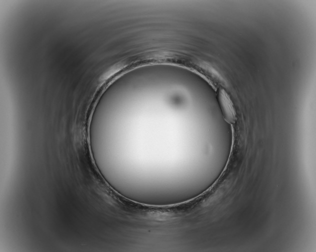 X0000086241073200704051214