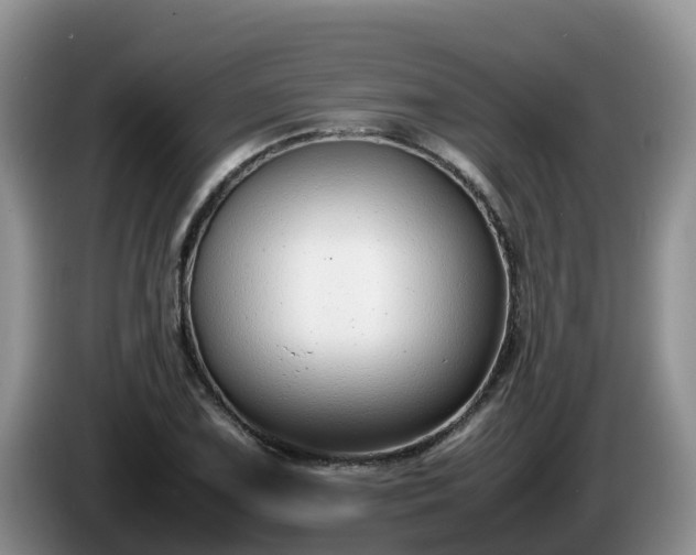 X0000086241075200704051214