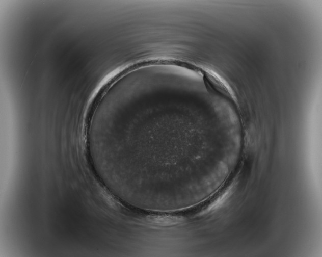 X0000086241077200704051214