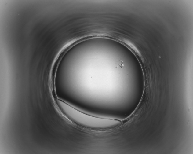 X0000086241080200704051213