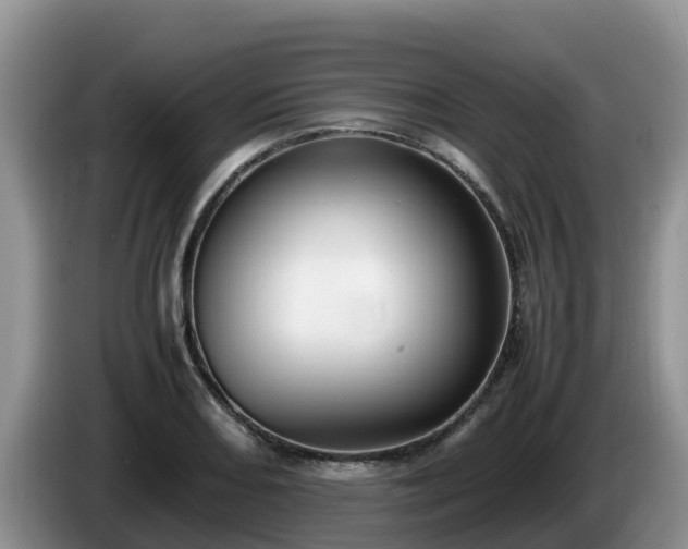 X0000086241082200704051213