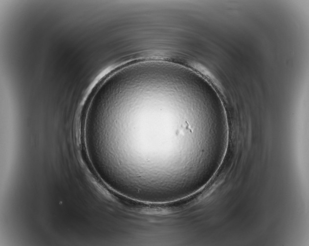 X0000086241083200704051213