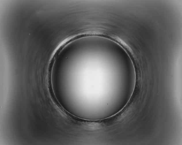 X0000086241085200704051213