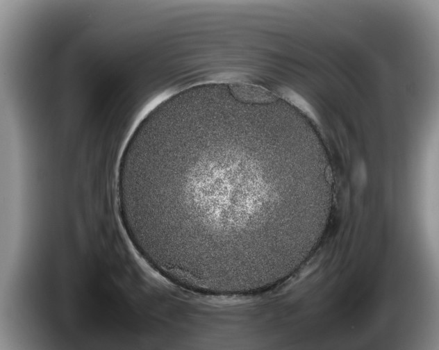 X0000086241087200704051213