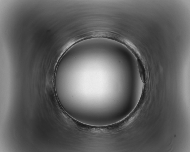 X0000086241089200704051213
