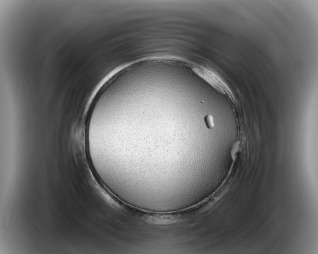 X0000086241092200704051213