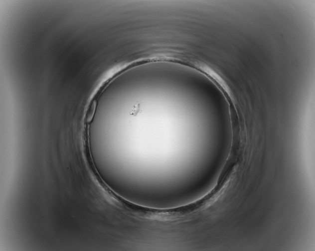 X0000086241093200704051213