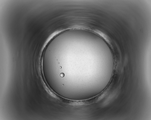 X0000086241094200704051213