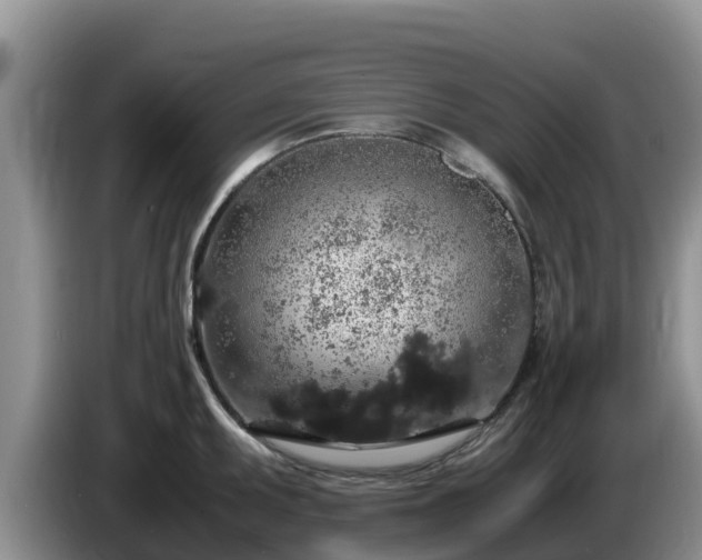 X0000086241095200704051213