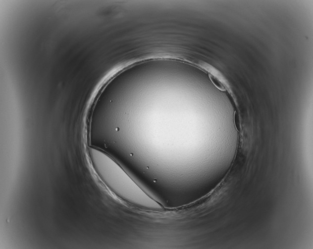 X0000086241096200704051213