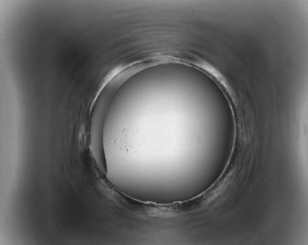 X0000086241097200704051213