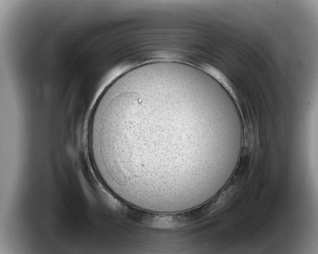 X0000086241098200704051213