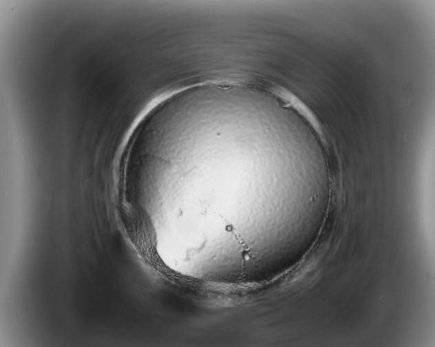 X0000086241099200704051213