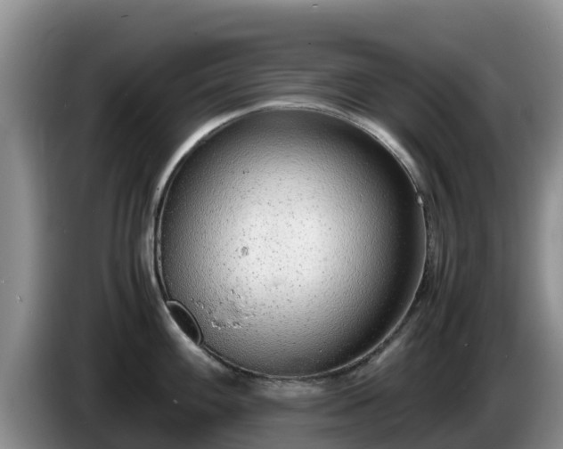 X0000086241100200704051213