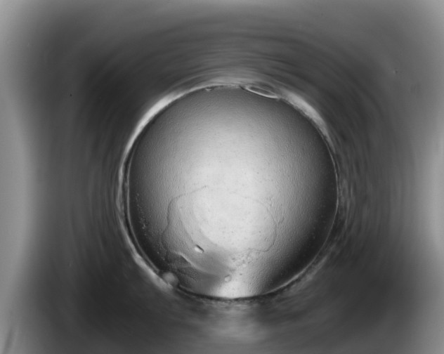 X0000086241103200704051213