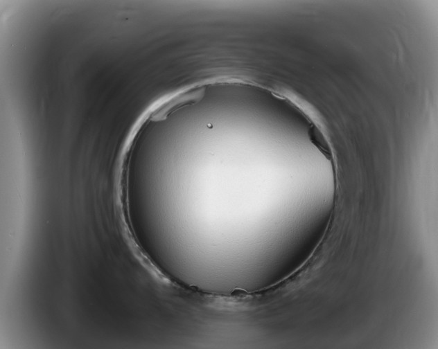 X0000086241104200704051213