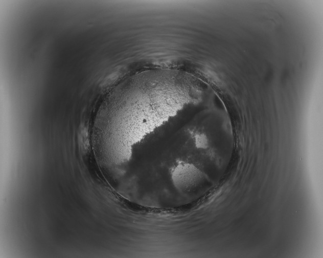X0000086241106200704051212