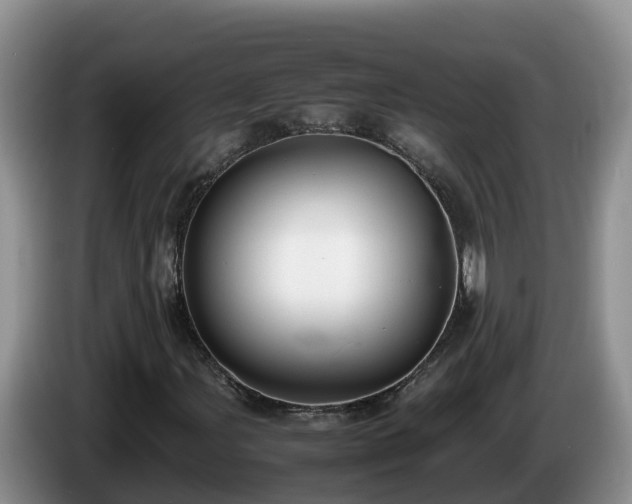 X0000086241107200704051213