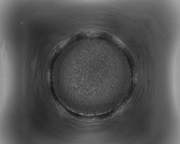 X0000086241108200704051213