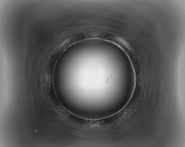 X0000086241111200704051213