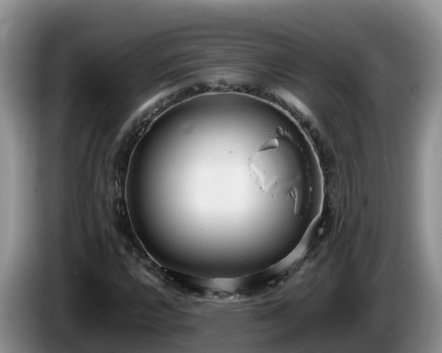 X0000086241112200704051213
