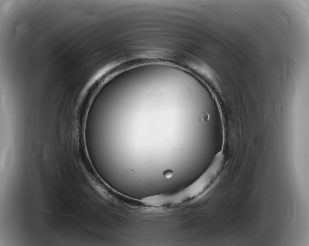 X0000086241114200704051213