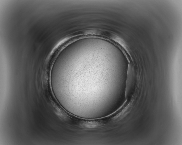 X0000086241115200704051213