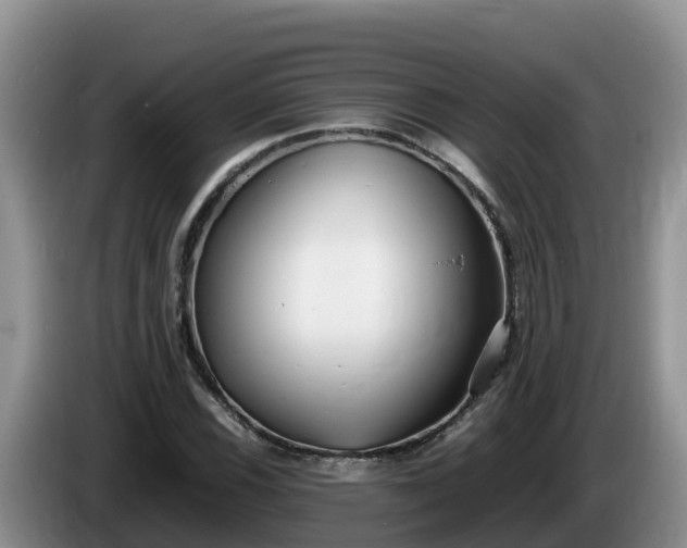 X0000086241116200704051213