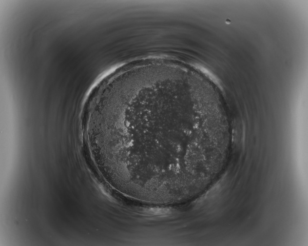 X0000086241117200704051213