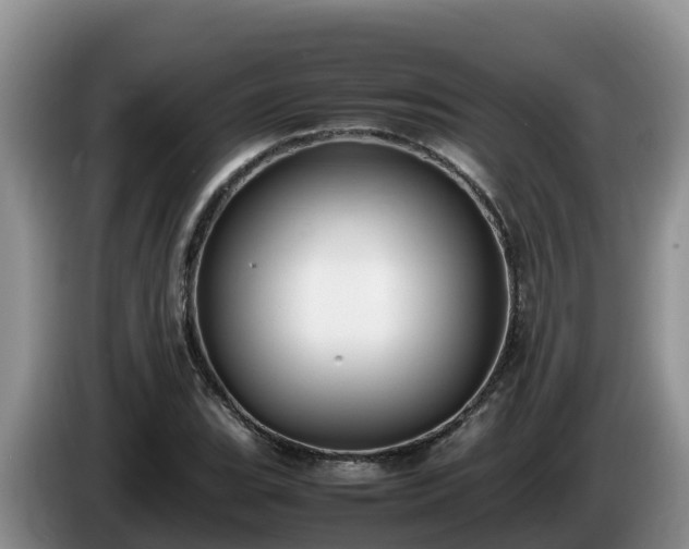 X0000086241119200704051213